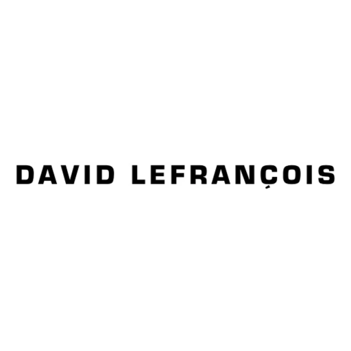 Logo David Lefrançois - Formateur de coach et neuroscientifique